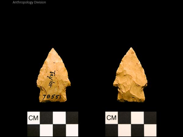 Taylor | Woodland/Post-Archaic Regional Taylor | Woodland/Post-Archaic Regional