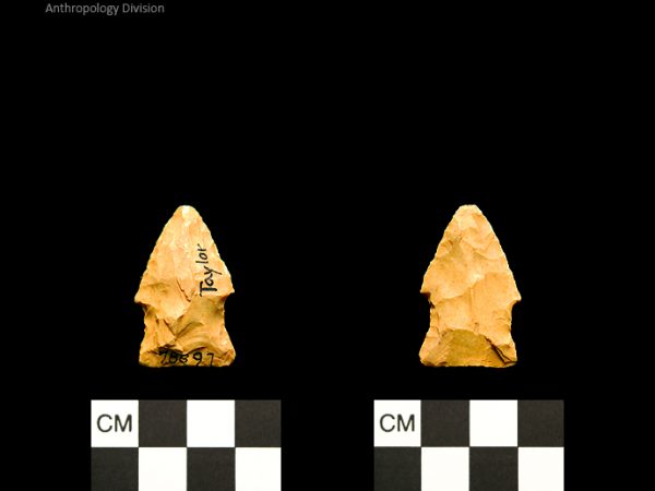 Taylor | Woodland/Post-Archaic Regional Taylor | Woodland/Post-Archaic Regional