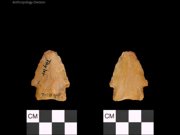 Taylor | Woodland/Post-Archaic Regional Taylor | Woodland/Post-Archaic Regional