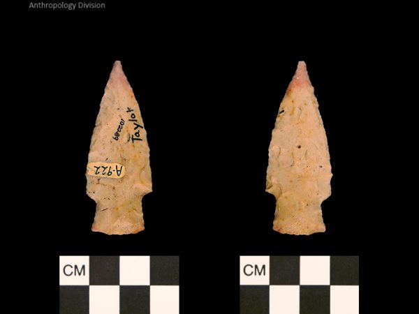 Taylor | Woodland/Post-Archaic Regional Taylor | Woodland/Post-Archaic Regional