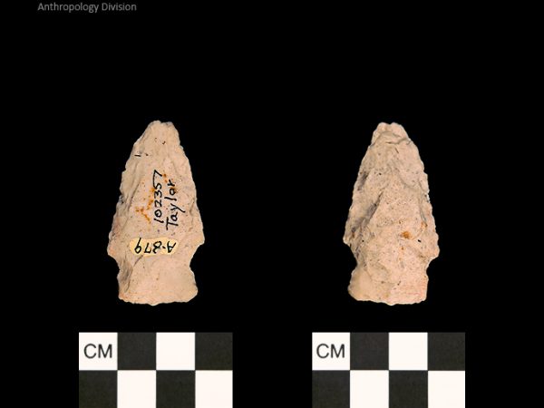 Taylor | Woodland/Post-Archaic Regional Taylor | Woodland/Post-Archaic Regional
