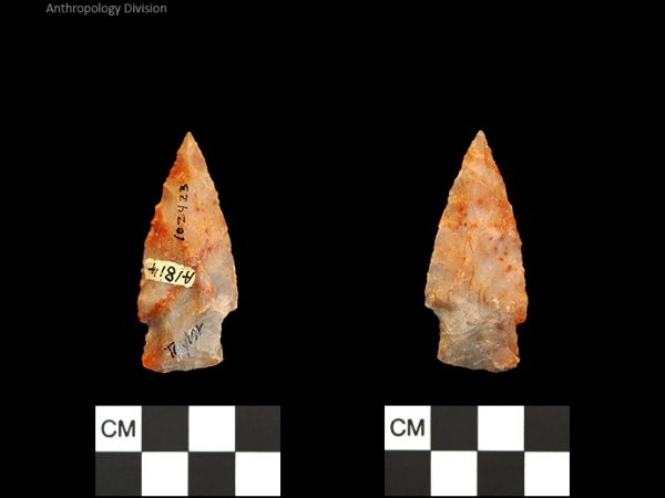 Taylor | Woodland/Post-Archaic Regional Taylor | Woodland/Post-Archaic Regional