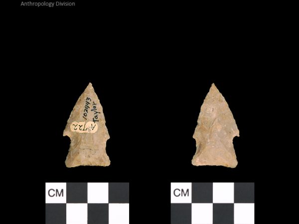 Taylor | Woodland/Post-Archaic Regional Taylor | Woodland/Post-Archaic Regional