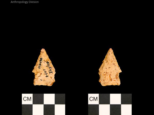 Taylor | Woodland/Post-Archaic Regional Taylor | Woodland/Post-Archaic Regional