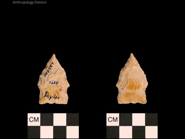Taylor | Woodland/Post-Archaic Regional Taylor | Woodland/Post-Archaic Regional