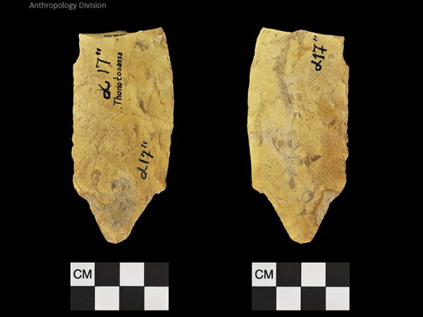 Thonotosassa | Early Archaic