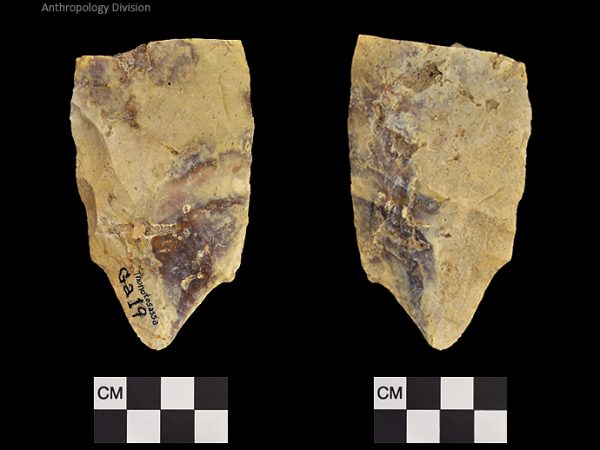 Thonotosassa | Early Archaic