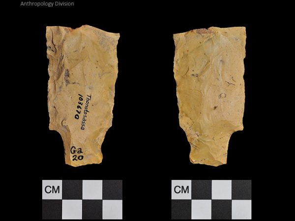 Thonotosassa | Early Archaic