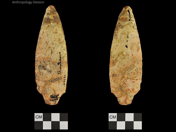 Thonotosassa | Early Archaic