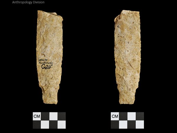 Thonotosassa | Early Archaic