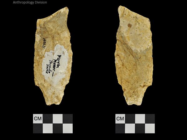 Thonotosassa | Early Archaic