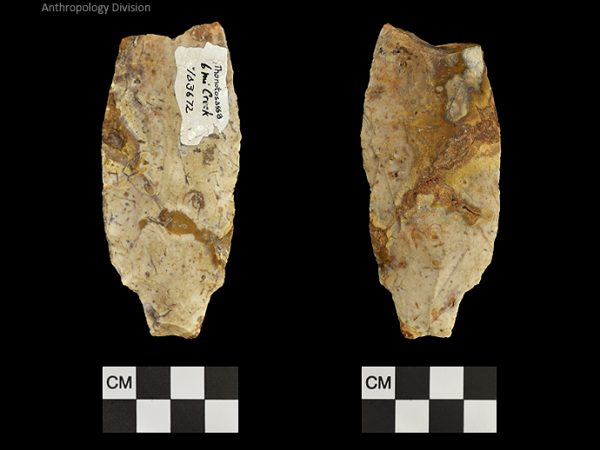 Thonotosassa | Early Archaic