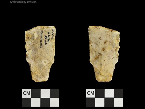 Thonotosassa | Early Archaic