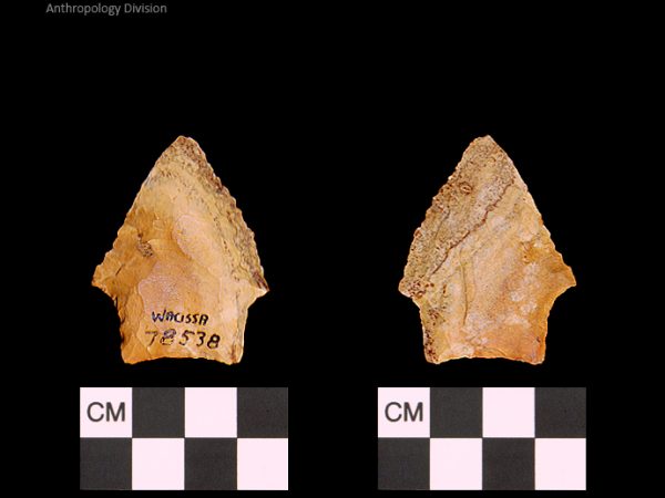 Bullen PP - Wacissa - 591 78538