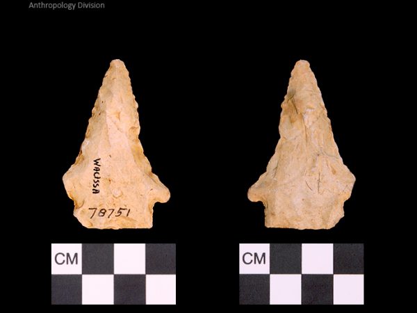 Bullen PP - Wacissa - 592 78751