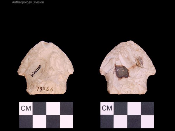 Bullen PP - Wacissa - 593 79266