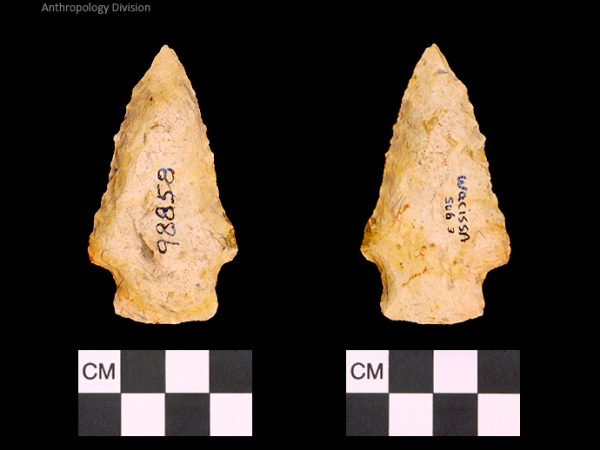 Bullen PP - Wacissa - 595 98858