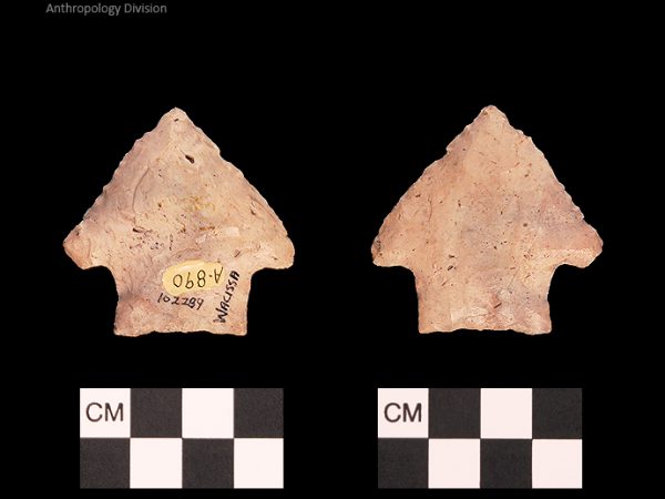 Bullen PP - Wacissa - 596 102289