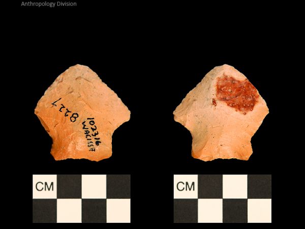 Bullen PP - Wacissa - 597 102316