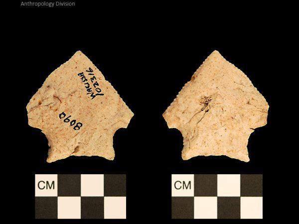 Bullen PP - Wacissa - 598 102316