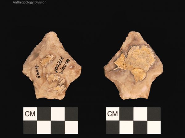 Bullen PP - Wacissa - 599 102316