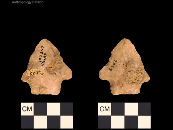 Bullen PP - Wacissa - 600 102357