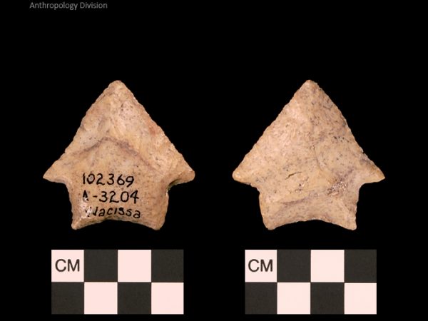 Bullen PP - Wacissa - 601 102369