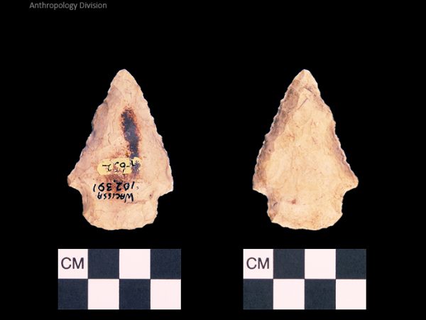 Bullen PP - Wacissa - 602 102391