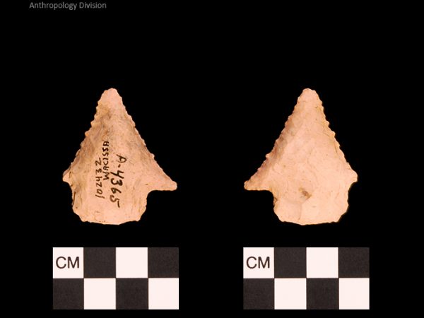 Bullen PP - Wacissa - 603 102432