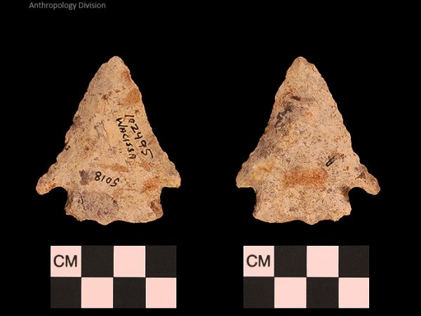 Bullen PP - Wacissa - 606 102495