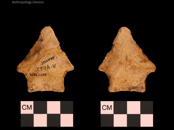 Bullen PP - Wacissa - 607 102495