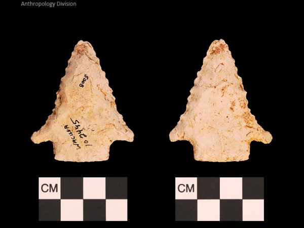 Bullen PP - Wacissa - 608 102495