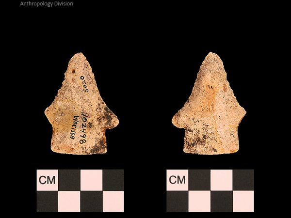 Bullen PP - Wacissa - 609 102498