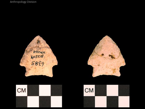 Bullen PP - Wacissa - 610 102504