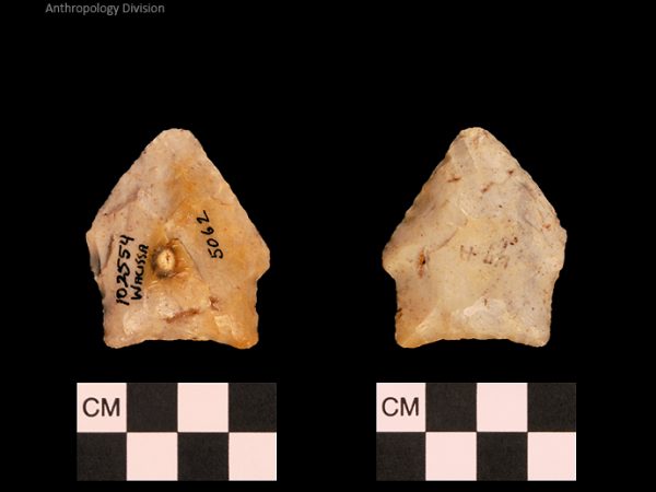 Bullen PP - Wacissa - 611 102554