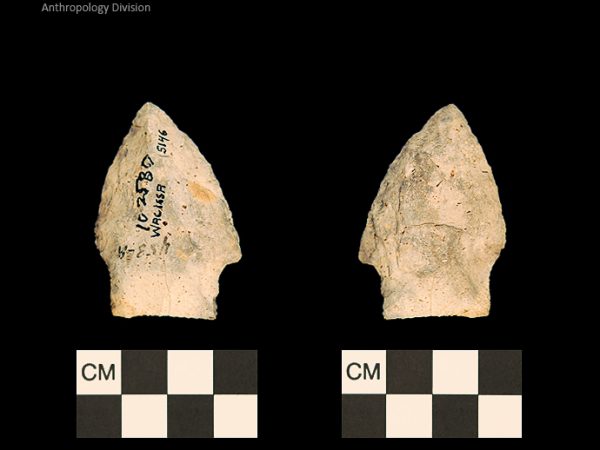 Bullen PP - Wacissa - 612 102580