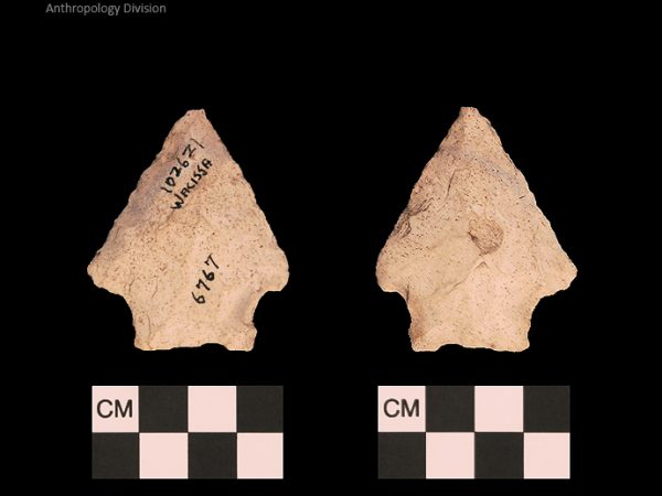 Bullen PP - Wacissa - 613 102621