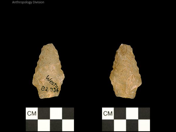 Westo | Woodland/Post-Archaic Regional