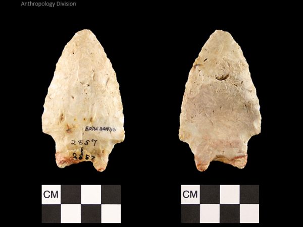 Arredondo | Early Archaic