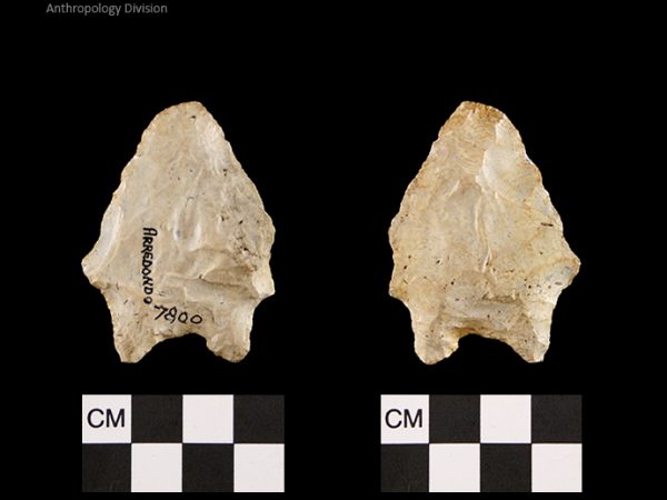 Arredondo | Early Archaic