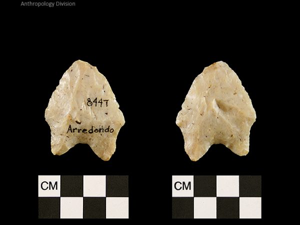 Arredondo | Early Archaic