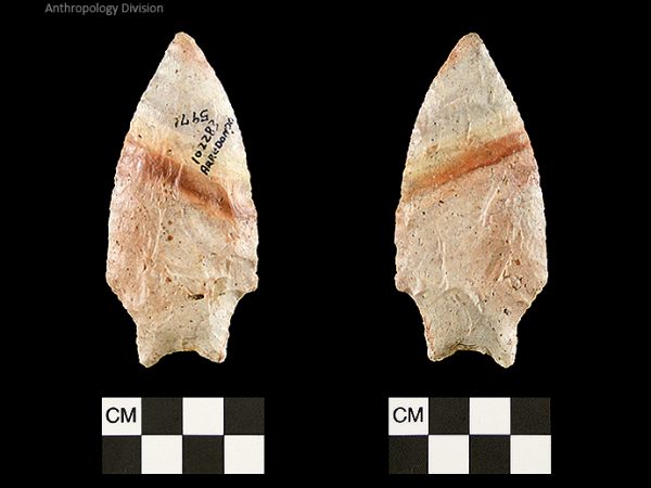 Arredondo | Early Archaic