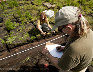 Drought and Dugout Canoe research is revealing new insights not only about the canoes, but, also, sediments, hydrology, fauna and flora impacts.