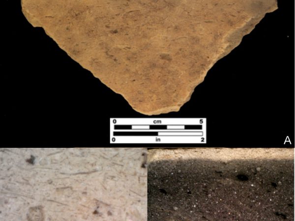 Florida spiculate pottery; a) St. Johns Plain sherd; b) sherd surface at 200× magnification, showing spicules in dominant parallel orientation; c) cross-section at 50× magnification showing dark firing core and fine-grained texture.