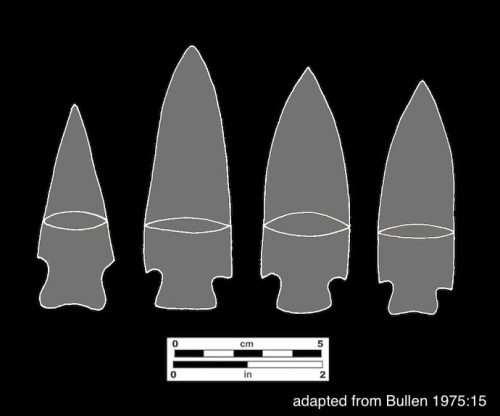 Outlines of Broward projectile points