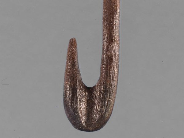 Worked Bone Fishhook