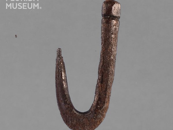 Worked Bone Fishhook