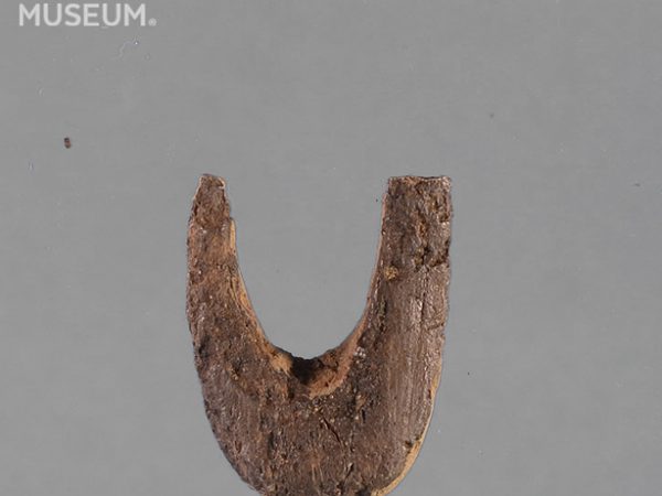 Worked Bone Fishhook