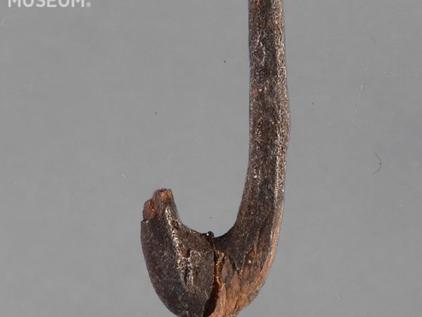 Worked Bone Fishhook