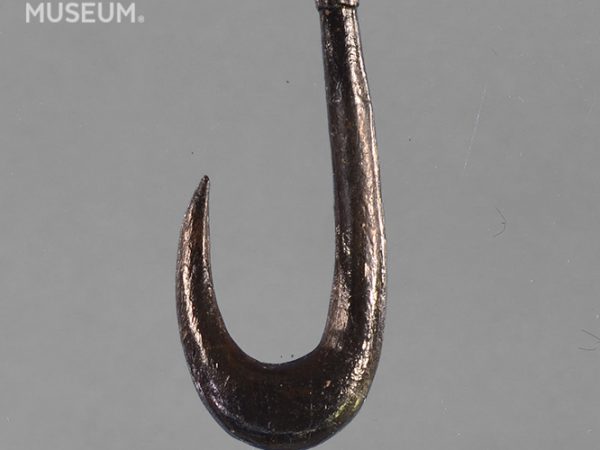 Worked Bone Fishhook